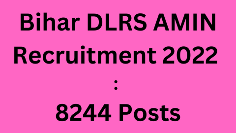Bihar DLRS AMIN Recruitment 2022 8244 Posts