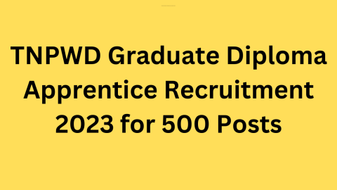 TNPWD Graduate Diploma Apprentice Recruitment 2023 for 500 Posts